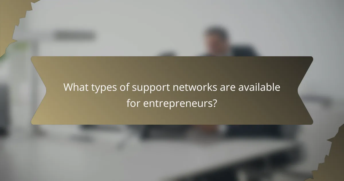 What types of support networks are available for entrepreneurs?
