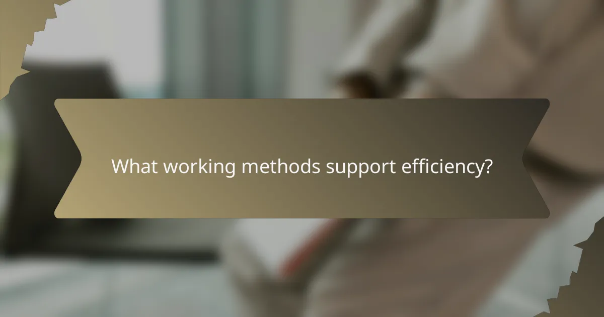 What working methods support efficiency?